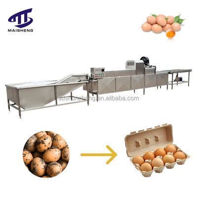 Maisheng Egg Washer Drier Industrial Egg Washer Cleaner Customizable Automation Egg Cleaning Machinery