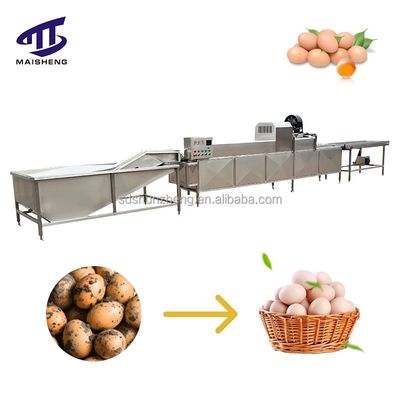 Maisheng Egg Washing Machine Automatic Egg Washing Equipment Stainless Steel Egg Cleaning Machine Line