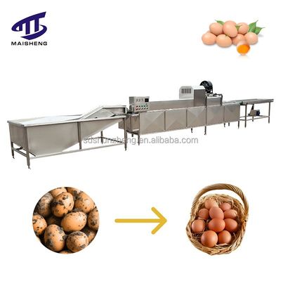 Maisheng Chicken Egg Washing Cleaning Unique Egg Washer Design Industrial Egg Washing Machine Professional Supplier