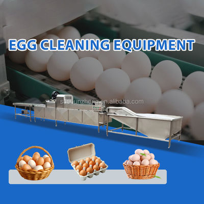 Maisheng Chicken Egg Washing Cleaning Unique Egg Washer Design Industrial Egg Washing Machine Professional Supplier