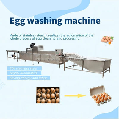 Maisheng Chicken Egg Washing Cleaning Unique Egg Washer Design Industrial Egg Washing Machine Professional Supplier