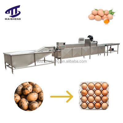 Maisheng Industrial Washing Eggs Machine Dryer Washer Dirty Egg Cleaning Machine Automatic Egg Washing Machine