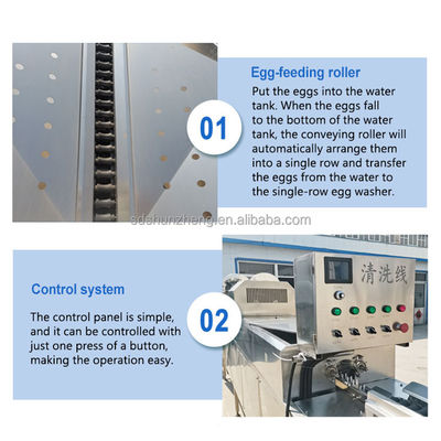 Maisheng Industrial Washing Eggs Machine Dryer Washer Dirty Egg Cleaning Machine Automatic Egg Washing Machine