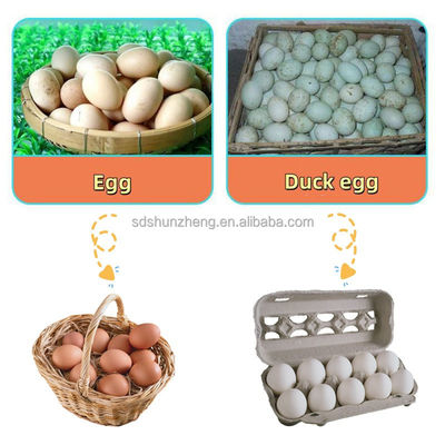 Maisheng Industrial Washing Eggs Machine Dryer Washer Dirty Egg Cleaning Machine Automatic Egg Washing Machine