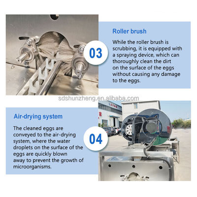 Maisheng Industrial Washing Eggs Machine Dryer Washer Dirty Egg Cleaning Machine Automatic Egg Washing Machine