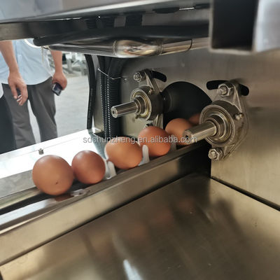 Automatic Egg White and Yolk Separating Processing Line Efficient Egg Washing and Drying Machinery for Industrial Equipment