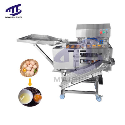 Stainless Steel Industrial Egg Breaking Machine Egg Separator Egg White and Yolk Separating Machine
