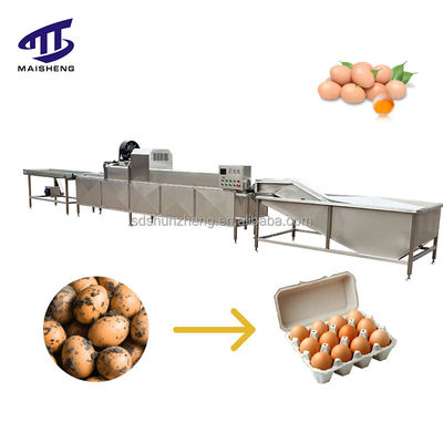 Maisheng Egg Washing Equipment Line Egg Washing Drying Grading Machine Egg Brush Washer Line