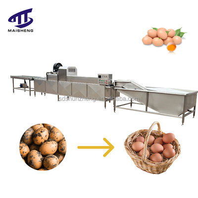 Maisheng Industrial Egg Cleaning Equipment Chicken Egg Shell Cleaner Egg Brush Washer Processing Line