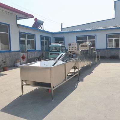 Maisheng Industrial Egg Cleaning Equipment Chicken Egg Shell Cleaner Egg Brush Washer Processing Line