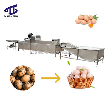 Durable Duck Egg Washing Machine Selective Egg Cleaning Equipment at Prices Food Processing Machinery Part