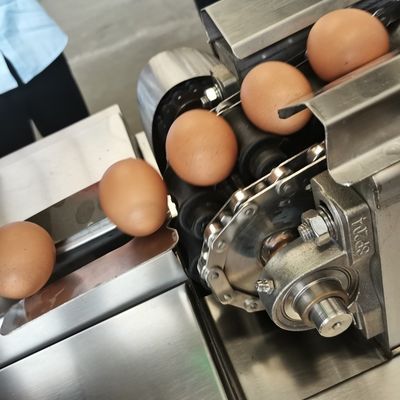 High-Efficiency Egg Processing Equipment White and Yolk Manufacturing Machinery for Egg Washing Line Food Processing