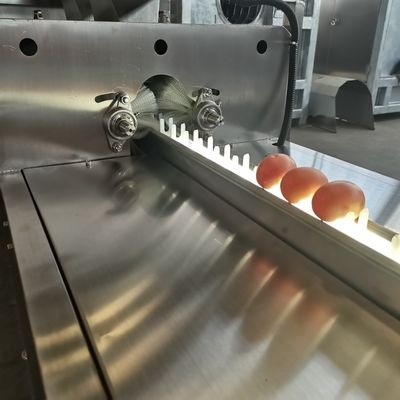 High-Efficiency Egg Processing Equipment White and Yolk Manufacturing Machinery for Egg Washing Line Food Processing