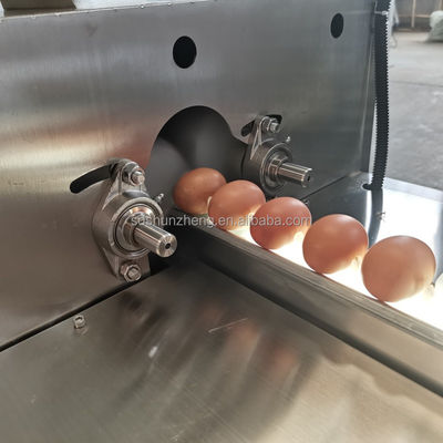 High Efficiency Egg Processing Line with Cleaning and Grading Industrial Chicken Eggs Washing Machine
