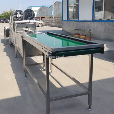 High Efficiency Egg Processing Line with Cleaning and Grading Industrial Chicken Eggs Washing Machine