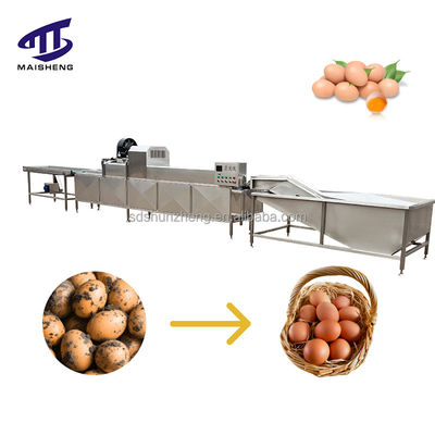 High Efficiency Eggs Washing Sorting Machine Cleaning Egg Process Line
