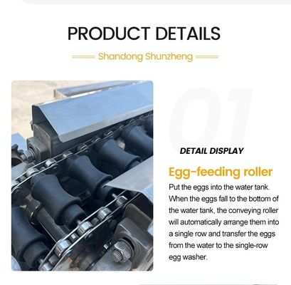 High Efficiency Egg Washer and Dryer Line Egg Drying Machine Chicken Eggs Washing Machine