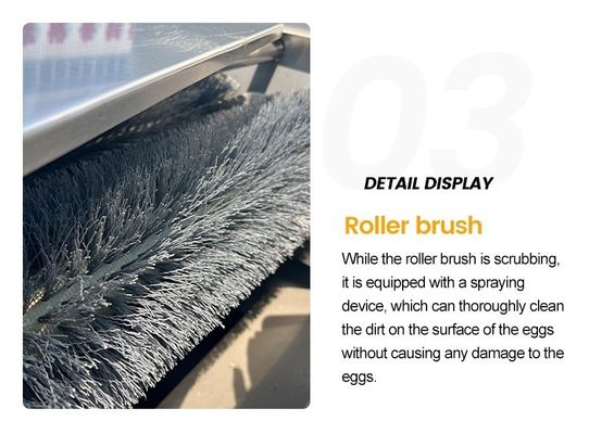 High Efficiency Egg Washer and Dryer Line Egg Drying Machine Chicken Eggs Washing Machine