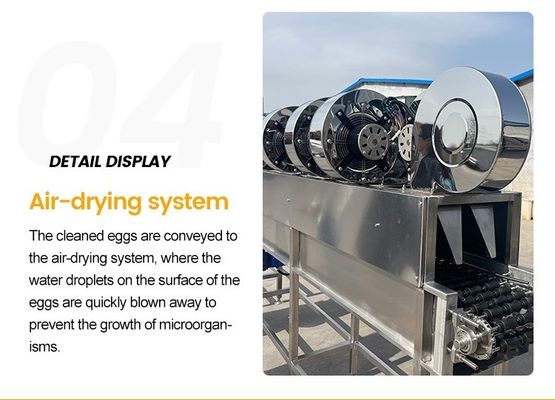 High Efficiency Egg Washer and Dryer Line Egg Drying Machine Chicken Eggs Washing Machine