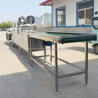 High Efficiency Egg Washer and Dryer Line Egg Drying Machine Chicken Eggs Washing Machine