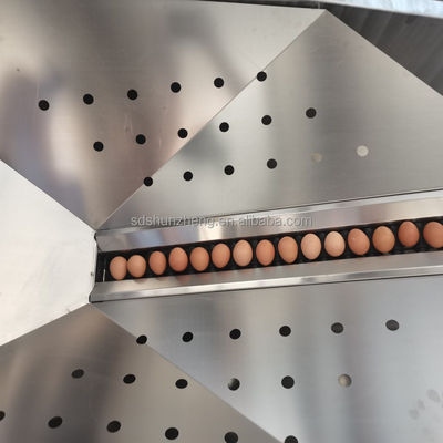 New Egg Processing Equipment for White Yolk Manufacturing Core Pump for Egg Washing Line in Bakery Food Processing Condition New
