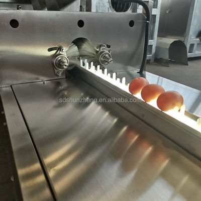 New Egg Processing Equipment for White Yolk Manufacturing Core Pump for Egg Washing Line in Bakery Food Processing Condition New
