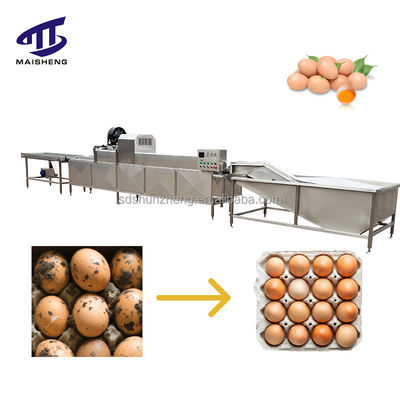 Efficient Industrial Equipment Automatic Egg White Yolk Separator Egg Washing & Drying Processing Line for Meat