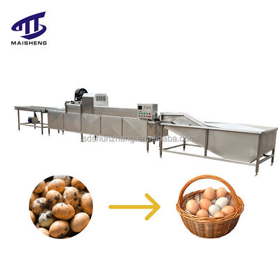 Automatic Industrial Egg Washer Drier Steel Machine for Meat Processing for Farm Bakery with Engine Bearing Core Components