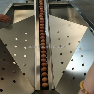 Automatic Industrial Egg Washer Drier Steel Machine for Meat Processing for Farm Bakery with Engine Bearing Core Components