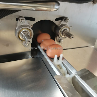 Automatic Industrial Egg Washer Drier Steel Machine for Meat Processing for Farm Bakery with Engine Bearing Core Components