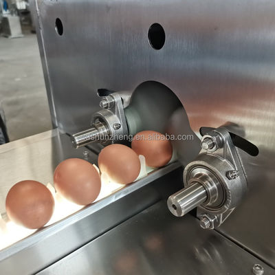 Automatic Industrial Egg Washer Drier Steel Machine for Meat Processing for Farm Bakery with Engine Bearing Core Components
