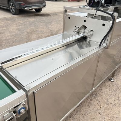 Automatic Industrial Egg Washer Drier Steel Machine for Meat Processing for Farm Bakery with Engine Bearing Core Components