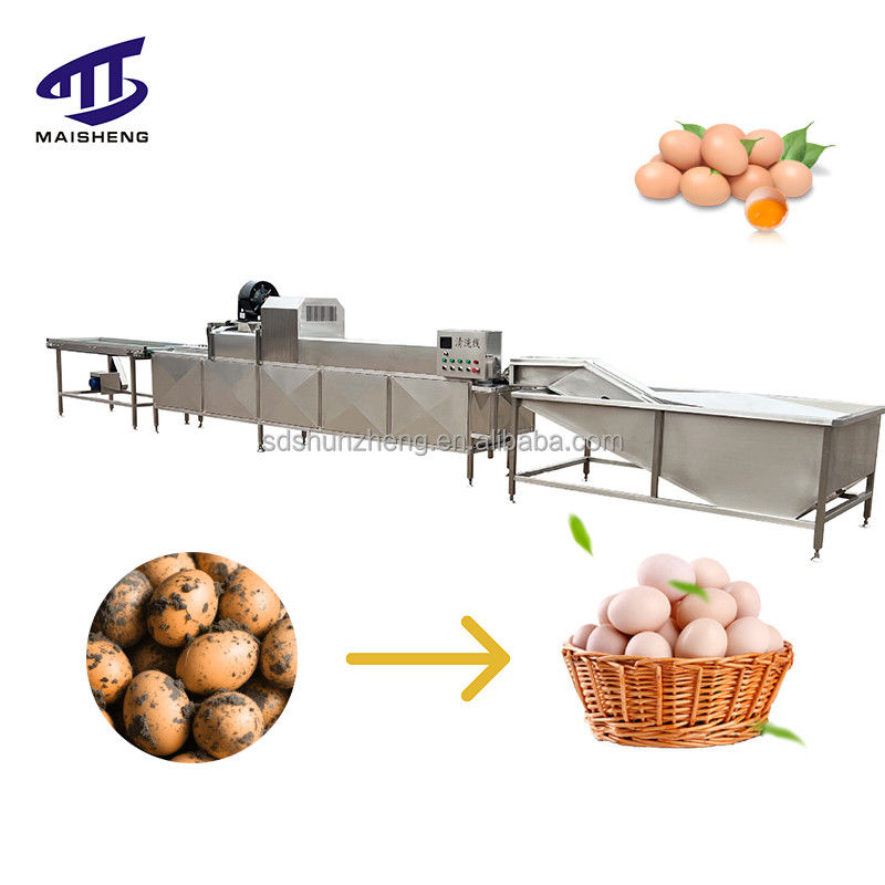 Durable Duck Egg Washing Machine Selective Egg Cleaning Equipment at Prices Food Processing Machinery Part