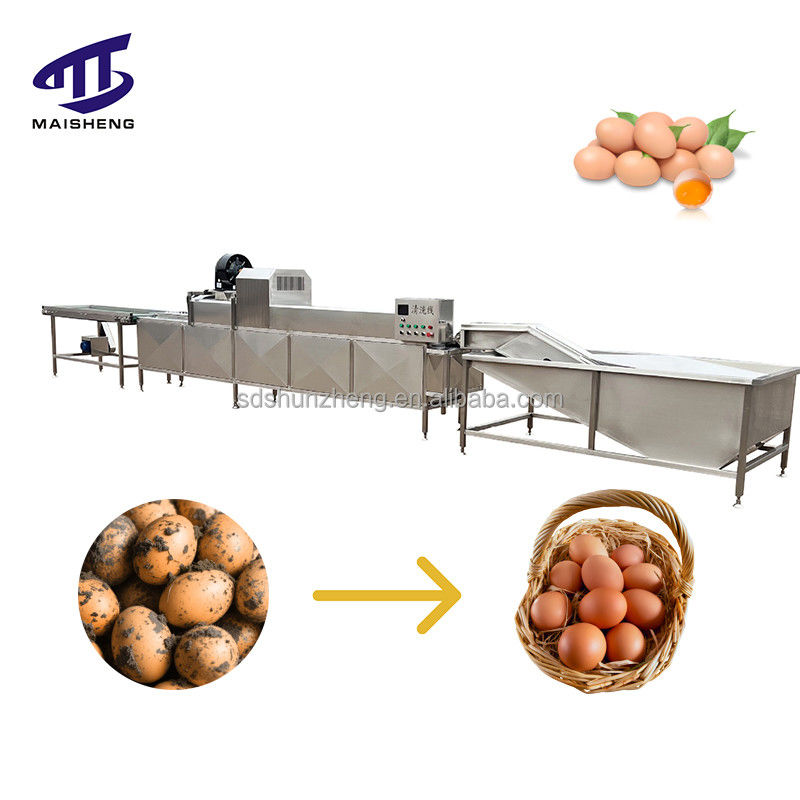 New Quail Egg Washer Easy-to-Use Liquid T Equipment for Farm Restaurant Manufacturing Plant Retail Bakery Industries